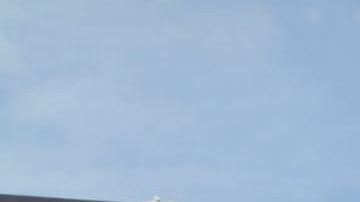 Elizabeth García se puso en cuarentena después de participar en marcha contra brutalidad policiaca. (Cortesía Elizabeth García)