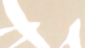 Carolina Sandoval "La Venenosa", de Suelta La Sopa.