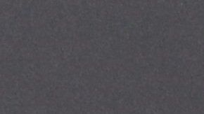 Thalía y Tommy Mottola