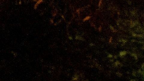 Manifestantes se reúnen en el exterior del complejo presidencial.