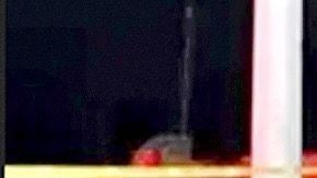 El auto volcó tras una persecución.