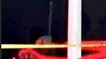 El auto volcó tras una persecución.