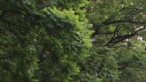 Manifestación en la Ciudad de México.