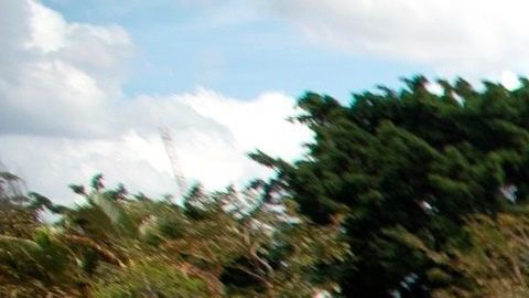 Tumbas en el cementerio de Campo da Esperança, en Brasilia.