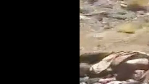 VIDEO: Caro Quintero tras la matanza de 10 a unas millas de frontera con EE.UU.