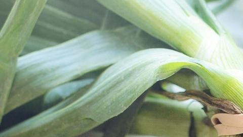 Foto: Pixabay/Pexels