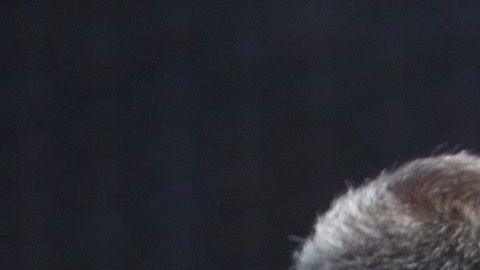 Estudiantes de varias escuelas salieron a manifestarse por Floyd. (Cortesía Thibeaux Hirsh)