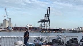 cocaína 15 toneladas