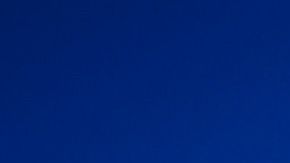 As Summer Temperatures Rise Bark Beetle Infestations Intensify
As Summer Temperatures Rise Bark Beetle Infestations Intensify

WERNIGERODE, GERMANY - SEPTEMBER 20: Wood piles of trees ravaged by a bark beetle infestation stand in a forest on September 20, 2019 near Schierke, Germany. Summers in Germany, as a consequence of global warming, have become dryer, which has weakened many native tree varieties and made them more susceptible to infestations of the bark beetle. While some forestries are taking an active approach to the problem by cutting down affected trees in an effort to halt the expansion of the beetle's spread, others are taking a passive approach to let the infestation run its natural course and ultimately leave a stronger forest behind. Bark beetles have been a recurring problem in Central Europe for a long time, though the dryer summers are making the infestations more intense and widespread. (Photo by Alexander Koerner/Getty Images)