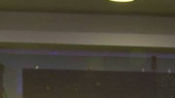 José Eduardo Derbez