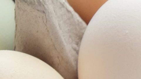 Suplementos para complementar dieta keto.