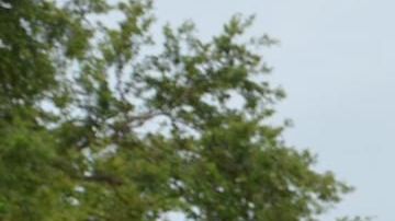 Algunos manifestantes en bicicleta en el condado de Miami-Dade se unieron en sus bicicletas para protestar por la muerte de George Floyd.
