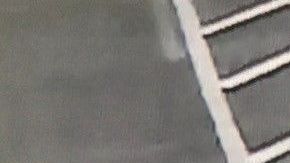 Captura de la cámara de la tienda Pawn & Guns en la que se ve a los sospechosos entrando en la tienda para robar las armas.