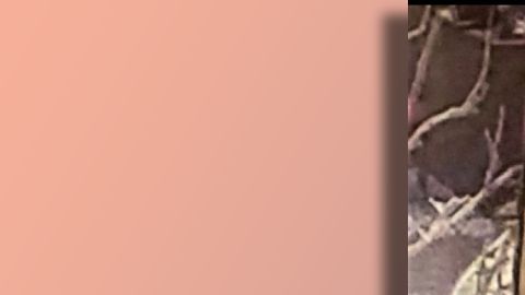 Foto del sospechoso del tiroteo circulada por el Sheriff de San Luis Obispo en Twitter.