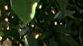 Elizabeth Espinoza, una mujer transgénero mexicana obtiene asilo en EE.UU.