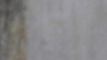 MEXICO-VIOLENCE-CRIME-MASS GRAVE
Soldiers secure the area where a clandestine mass grave was discovered at Lomas del Vergel in the community of Zapopan, Jalisco state, Mexico, on January 16, 2020. - Nearly 2,500 murders were reported between January and November in Jalisco --  a state hard-hit by violence linked to organized crime -- state authorities have said. (Photo by Ulises Ruiz / AFP) (Photo by ULISES RUIZ/AFP via Getty Images)