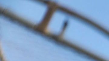 Las restricciones se extiende al 21 de julio.