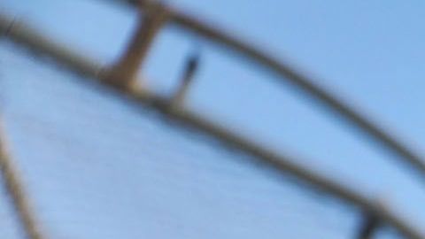 Las restricciones se extiende al 21 de julio.