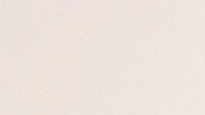 Floyd Mayweather pagará el servicio que se realizará en Minneapolis, North Carolina y Houston.