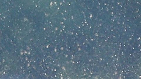 Los nuevos nombres de los caballos de carreras tienen referencias al COVID-19.