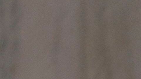 Apple iPhone iPhone SE celular teléfono iPhone 11 Pro iPhone XR iPhone 11 coronavirus