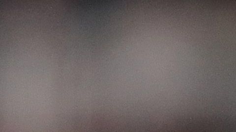 Torii Hunter rompió el silencio respecto al racismo en los parques de pelota.