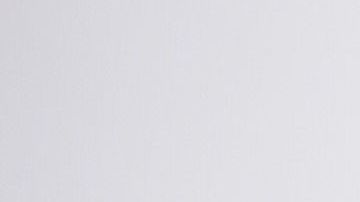 Los beneficiarios de DACA más que un alivio temporal buscan protecciones permanentes.