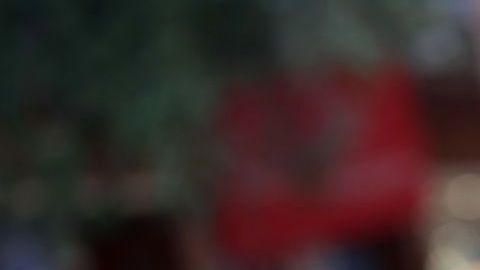 Ginevra Lambruschi, modelo e influencer italiana.