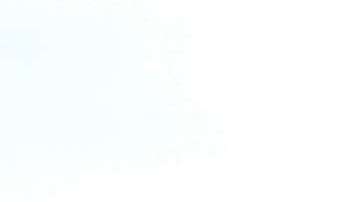 Alex Bowman, conductor de #88 Nationwide Chevrolet, en una imagen de archivo junto a fanáticos en el circuito NASCAR de Homestead, al sur de Miami.