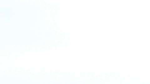 Alex Bowman, conductor de #88 Nationwide Chevrolet, en una imagen de archivo junto a fanáticos en el circuito NASCAR de Homestead, al sur de Miami.