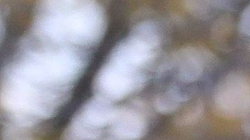 El hijo del presidente cumplió 14 años en marzo.