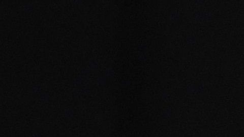 Roger Federer dejará el 2020 con apenas un torneo y seis partidos jugados.