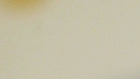 Mike Tyson tiene al tenista en su bicep izquierdo.