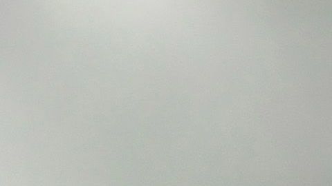 Raúl Jiménez y Adama Traoré