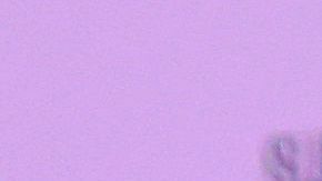 Mansión Taylor Swift