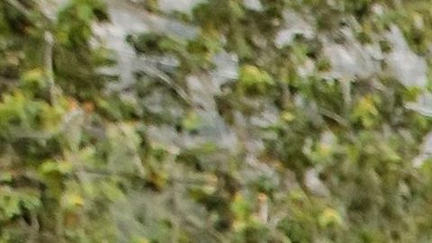 Hawk recalcó que pese a todo aún ama su trabajo.