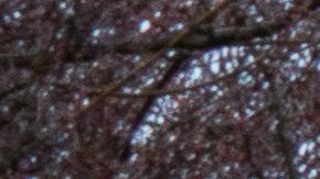 En Hart Island se entierran varios cuerpos de fallecidos por coronavirus en la ciudad de Nueva York.