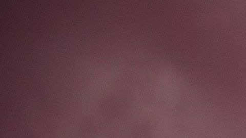 Ley HEROES coronavirus Donald Trump Nancy Pelosi desempleo trabajadores apoyo Senado Cámara de Representantes