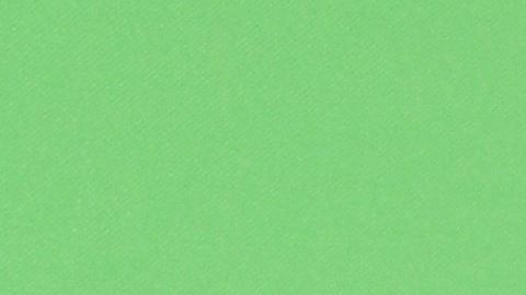 Edwin Luna y Kimberly Flores.