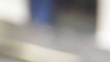 Trump adelantó que sería responsabilidad de las aerolíneas.