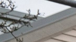 Los centros de cuidados de adultos mayores son focos de contagios COVID-19.