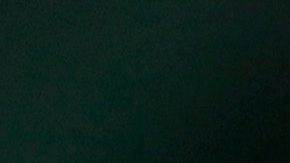 Zoom WhatsApp tecnología encriptación FBI seguridad abuso sexual protección Eric videollamadas