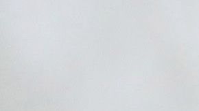 Donald Trump Lysol Reckitt Benckiser dettol coronavirus COVID-19 desinfectantes advertencia llamado salud virus peligro