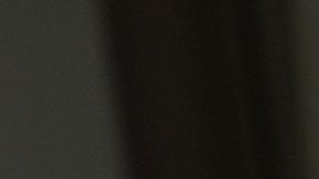 Fauci y el presidente hablaban con la prensa casi a diario al inicio de la crisis sanitaria.