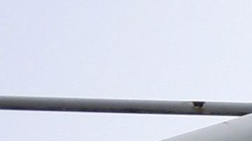 Las gradas del estadio Ellan Road dieron cabida a una foto del terrorista Osama Bin Laden.