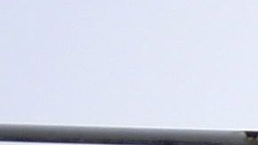 Las gradas del estadio Ellan Road dieron cabida a una foto del terrorista Osama Bin Laden.