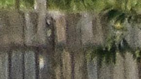 De acuerdo al Observatorio Ciudadano de COVID-19, en Nicaragua hay más de 1,500 muertes por la enfermedad.