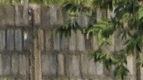 De acuerdo al Observatorio Ciudadano de COVID-19, en Nicaragua hay más de 1,500 muertes por la enfermedad.