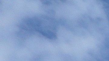 A pesar del distanciamiento todo apunta a que habrá béisbol en 2020.