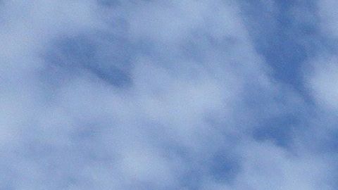 A pesar del distanciamiento todo apunta a que habrá béisbol en 2020.